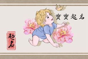 适合属兔男孩的名字 吉利的名字推荐