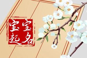 兔年男孩取名字寓意好的字 顺口响亮的宝宝名字