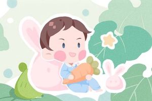 属虎的男孩取什么名字最好 虎宝宝取名禁忌