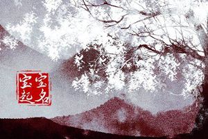 2023年兔宝宝男孩名字大全 个性内涵的男孩名字