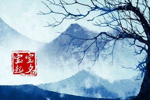 除夕出生的男孩起什么名字 个性好听的男孩名字