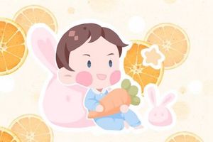 2022年属虎男宝宝取名大全 简约大方的男孩名字