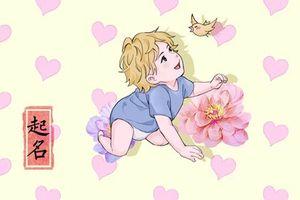 2023春节出生的男孩名字有哪些好听点