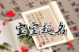 2023年兔男孩取名字姓罗 潇洒俊朗吉利之气的男孩名字