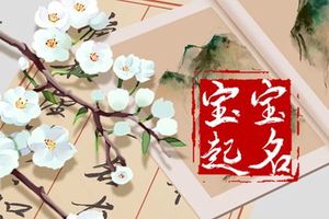 兔年男孩用的好名字 寓意没好 搭配好听