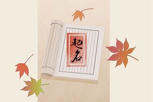 孙姓属虎的男宝宝起名四字 好听有智慧的男孩名字