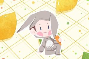 属虎男宝宝的起名字 发音好听 寓意美好的