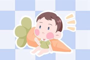 生肖虎的男孩取什么名字 响亮好听的男孩名字