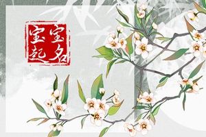 立春生的男宝宝取什么名吉利 宝宝起名小技巧