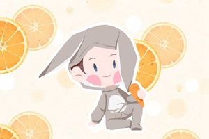 属兔男孩名字最佳用字 文雅大气的男孩名字