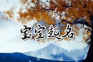 兔年草字头的字男孩起名字 简单大气 开朗内涵